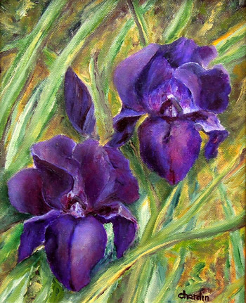 The Irises