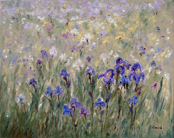 Field of Iris